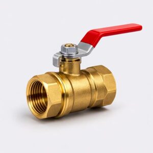 Valve